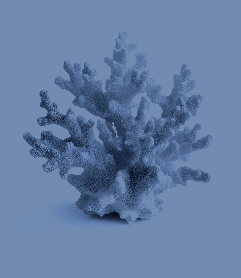 Coral Legacy