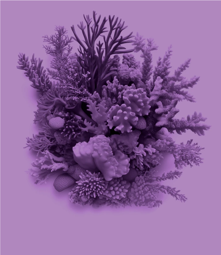 Coral Legacy