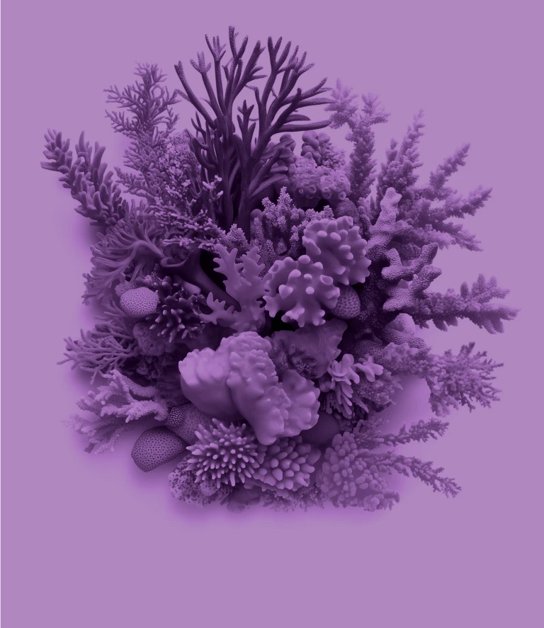 Coral Legacy